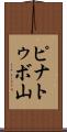 ピナトゥボ山 Scroll