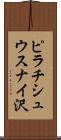 ピラチシュウスナイ沢 Scroll
