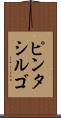 ピンタシルゴ Scroll