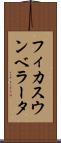 フィカス・ウンベラータ Scroll