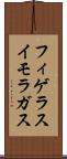 フィゲラスイモラガス Scroll