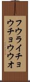 フウライチョウチョウウオ Scroll