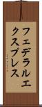 フェデラルエクスプレス Scroll