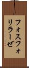 フォスフォリラーゼ Scroll