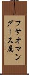 フサオマングース属 Scroll