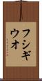 フシギウオ Scroll
