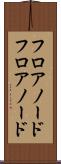 フロアノード Scroll