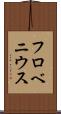 フロベニウス Scroll