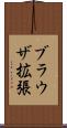 ブラウザ拡張 Scroll