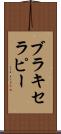 ブラキセラピー Scroll