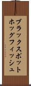ブラックスポットホッグフィッシュ Scroll