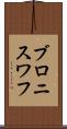 ブロニスワフ Scroll