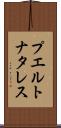 プエルトナタレス Scroll