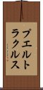 プエルトラクルス Scroll