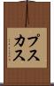 プスカス Scroll