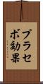 プラセボ効果 Scroll