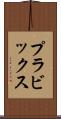 プラビックス Scroll