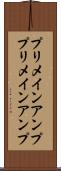 プリメインアンプ Scroll