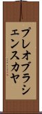 プレオブラシェンスカヤ Scroll