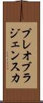 プレオブラジェンスカ Scroll