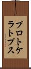 プロトケラトプス Scroll