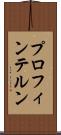 プロフィンテルン Scroll