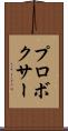 プロボクサー Scroll