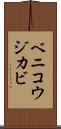 ベニコウジカビ Scroll