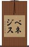 ベネジス Scroll