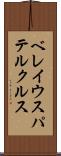 ベレイウスパテルクルス Scroll