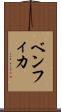 ベンフィカ Scroll