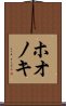 ホオノキ Scroll