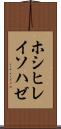 ホシヒレイソハゼ Scroll