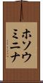 ホソウミニナ Scroll