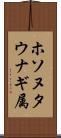 ホソヌタウナギ属 Scroll
