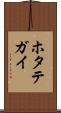 ホタテガイ Scroll