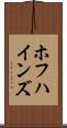 ホフハインズ Scroll