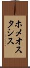 ホメオスタシス Scroll