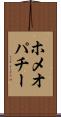 ホメオパチー Scroll