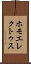ホモ・エレクトゥス Scroll