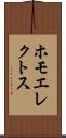ホモエレクトス Scroll