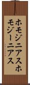 ホモジニアス Scroll
