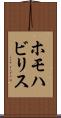 ホモハビリス Scroll