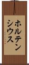 ホルテンシウス Scroll