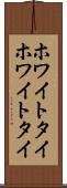 ホワイトタイ Scroll