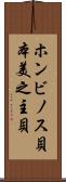 ホンビノス貝 Scroll