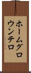 ホームグロウンテロ Scroll