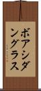 ボアシダングラス Scroll