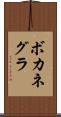ボカネグラ Scroll