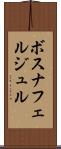 ボスナフェルジュル Scroll